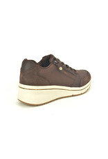 Skechers 16239 bruin