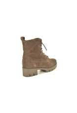 Gabor 16206 bruin