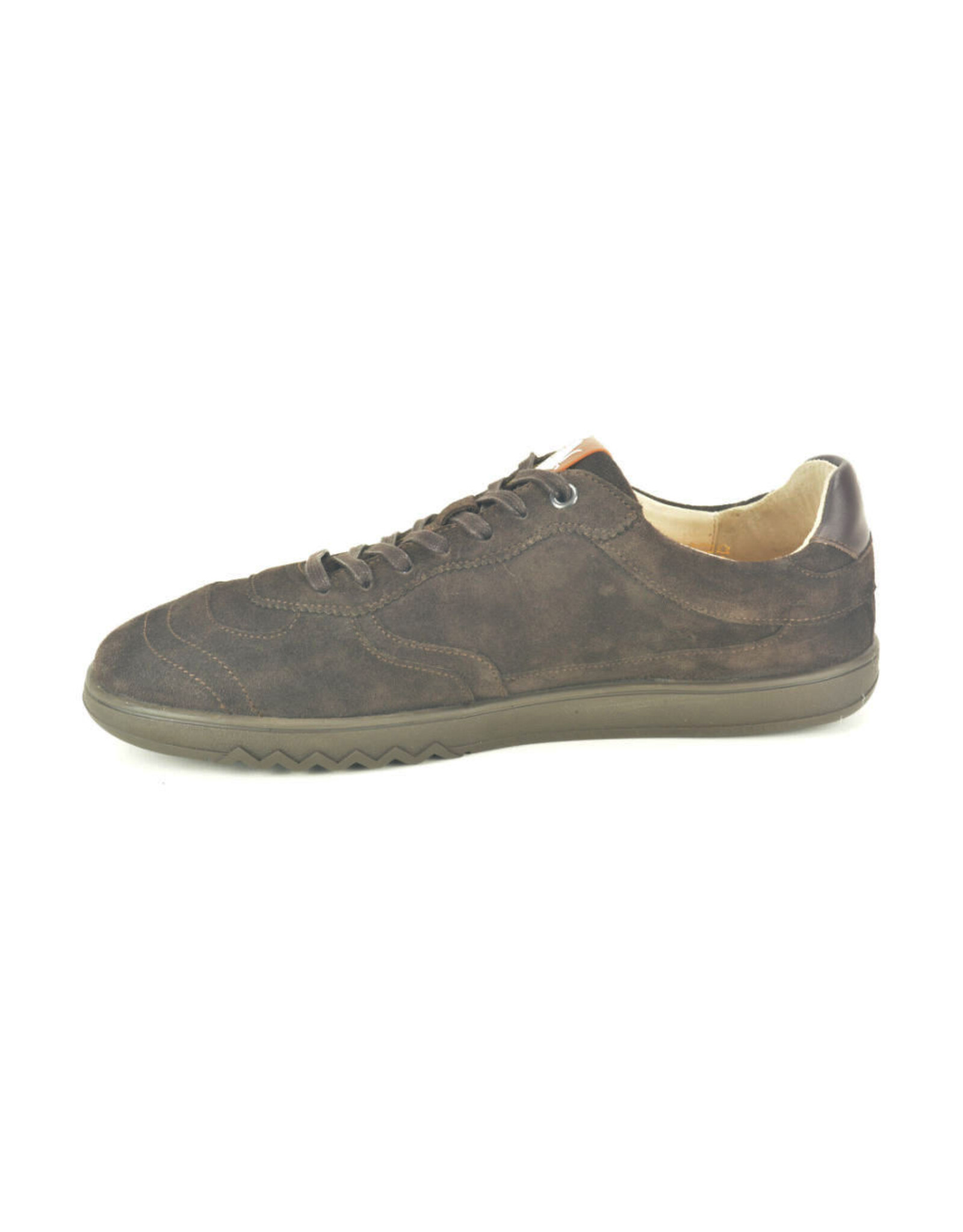 Floris van Bommel 16347 bruin