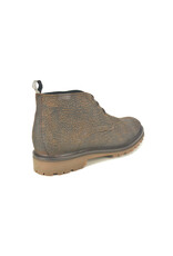 Floris van Bommel 16349 taupe