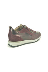 DL-Sport 16298 kleur