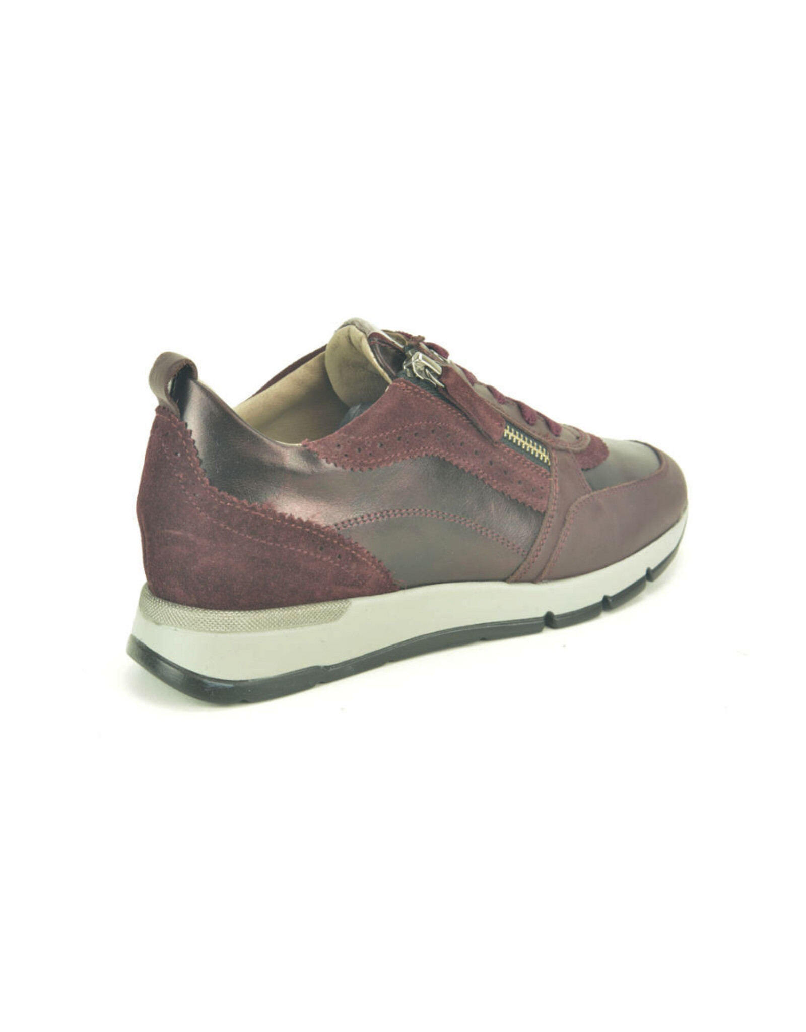 DL-Sport 16298 kleur