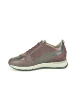 DL-Sport 16298 kleur
