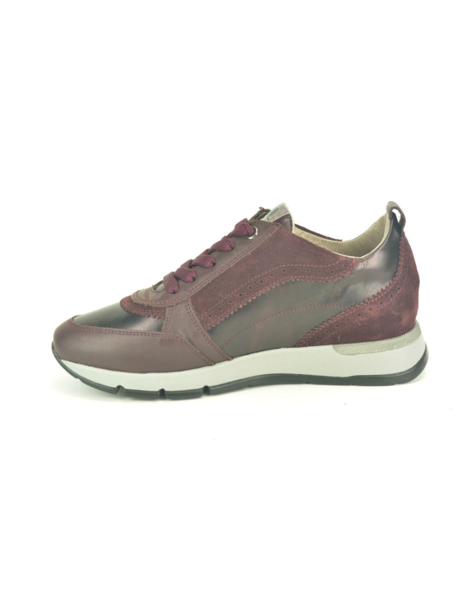 DL-Sport 16298 kleur