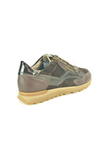 DL-Sport 16299 bruin