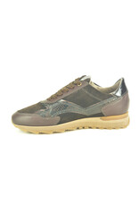 DL-Sport 16299 bruin