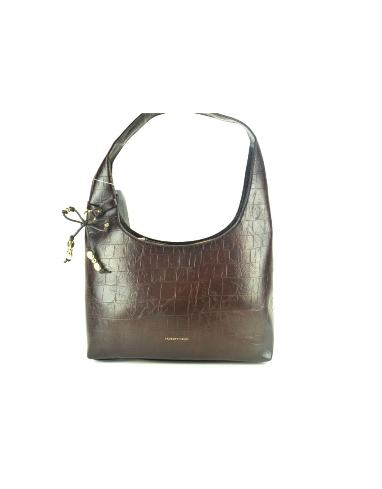 Laurent David 16422 bruin
