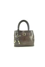 Laurent David 16425 bruin