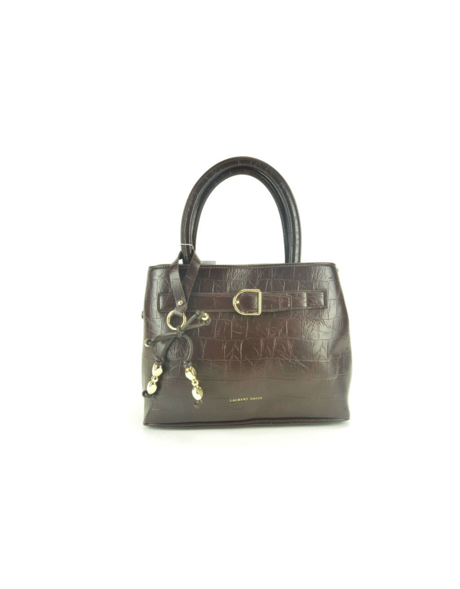 Laurent David 16425 bruin