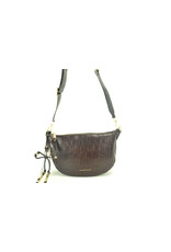 Laurent David 16426 bruin