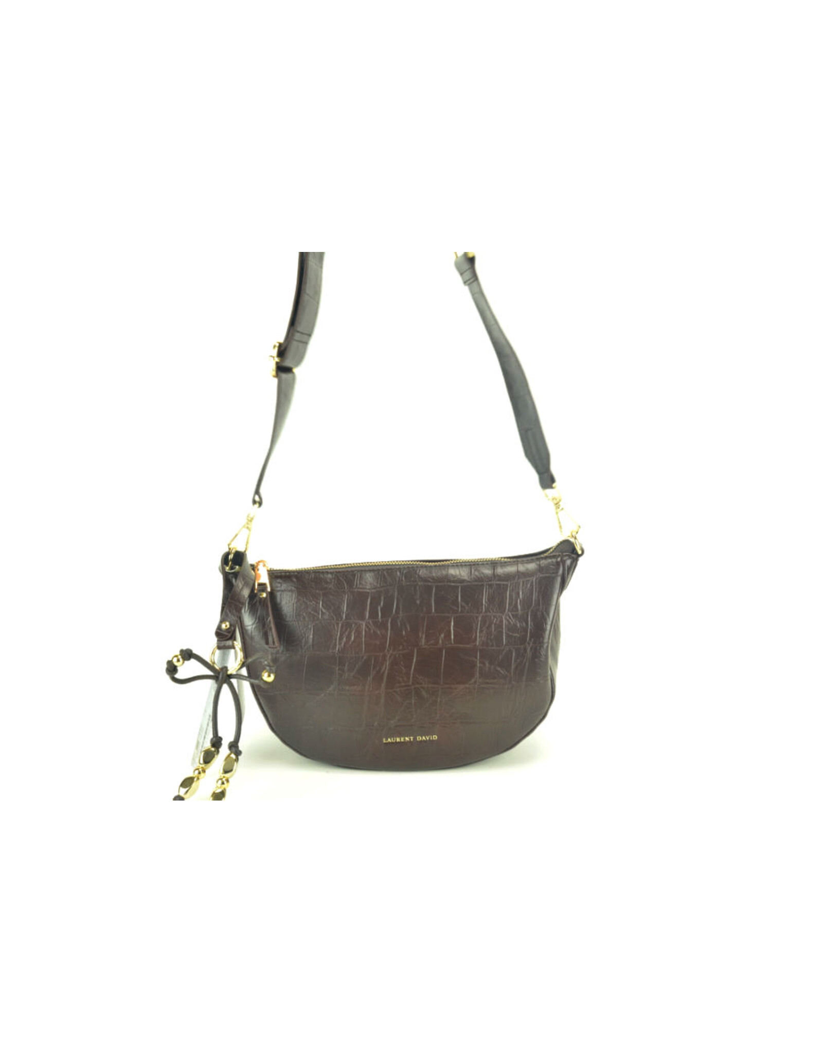 Laurent David 16426 bruin