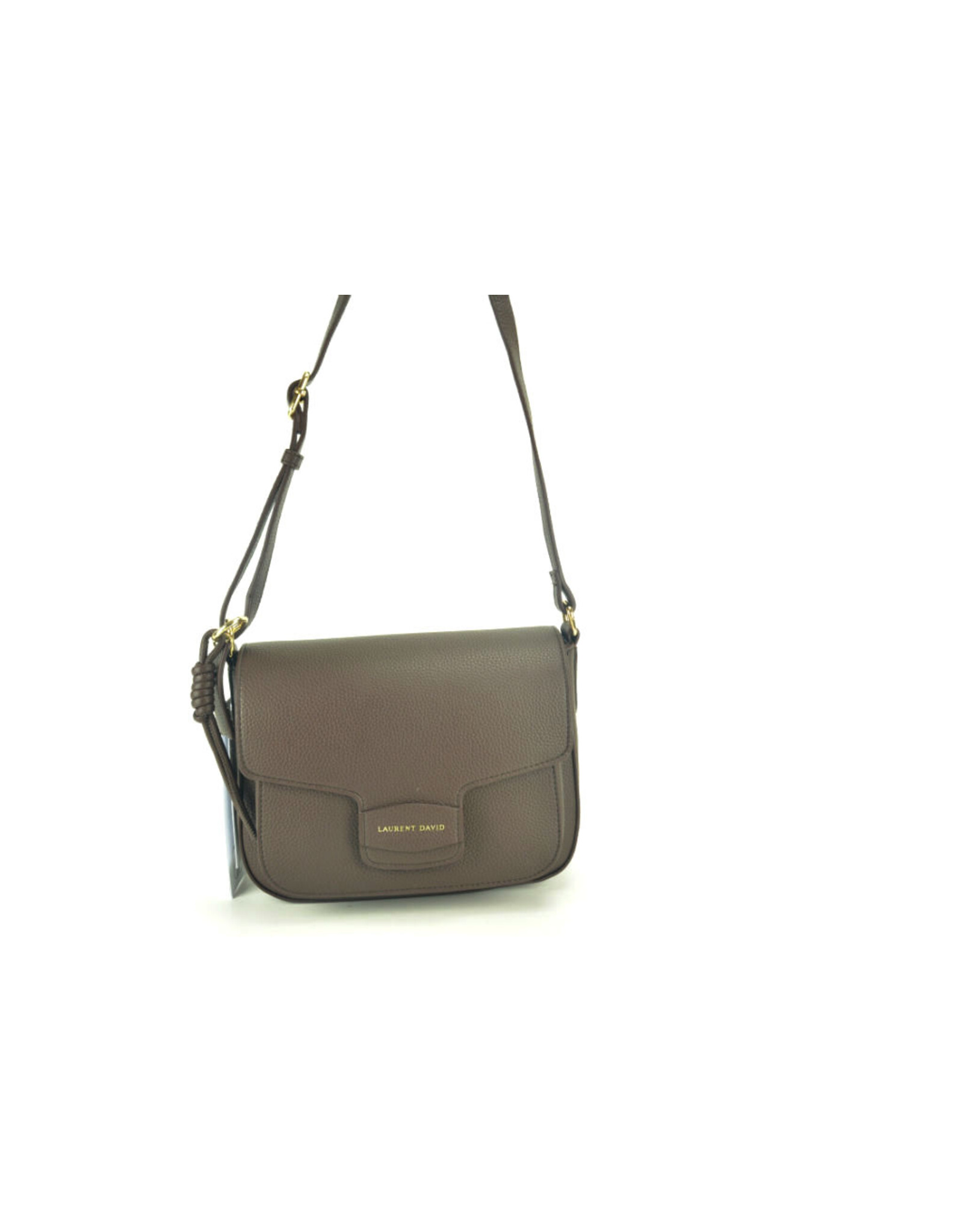 Laurent David 16433 bruin