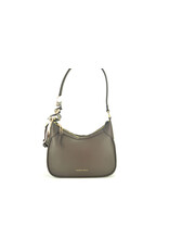 Laurent David 16446 bruin