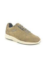 Cycleur De Luxe 16098 taupe