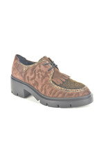 Floris van Bommel 16356 bruin