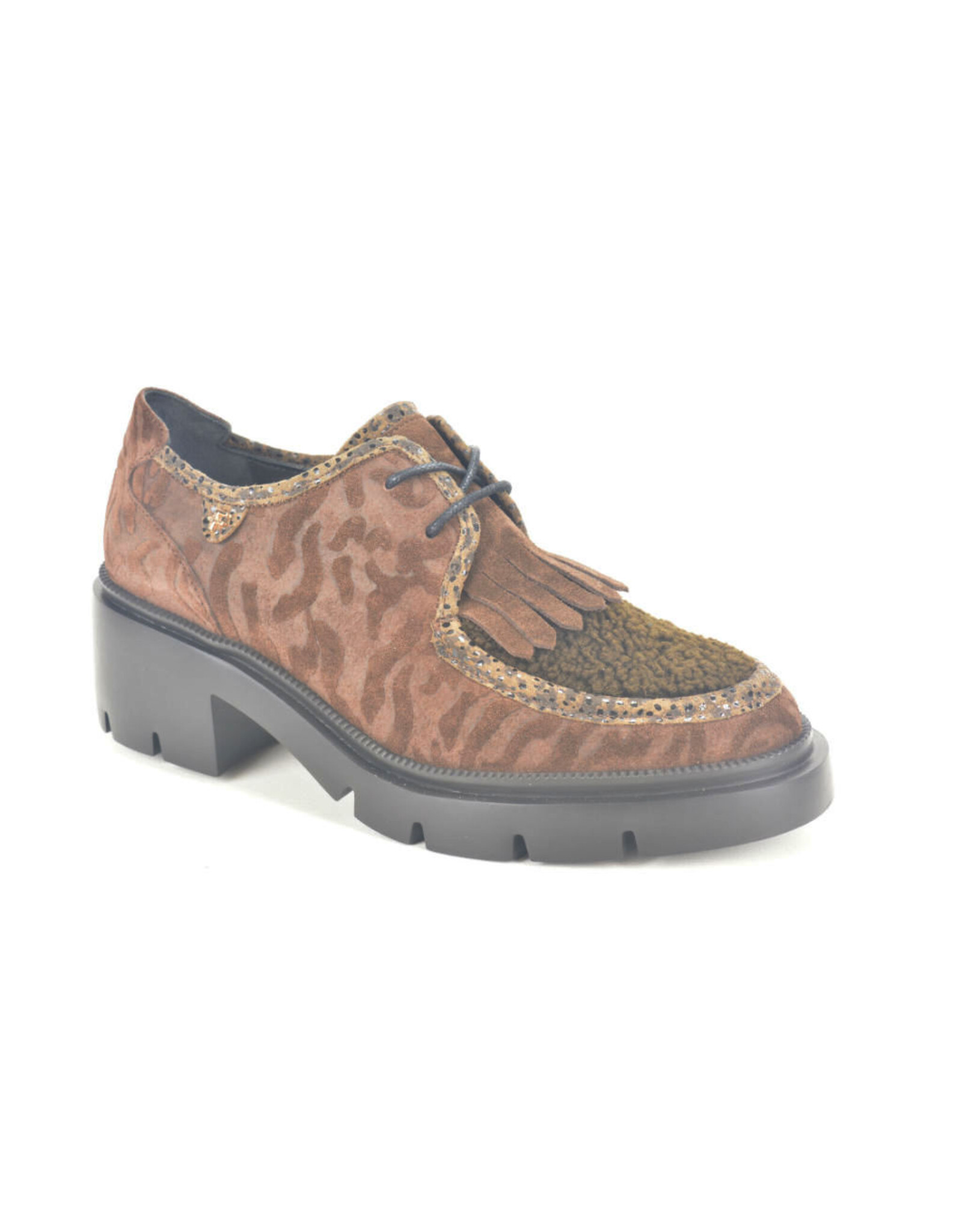 Floris van Bommel 16356 bruin