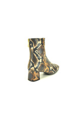 Pedro Miralles 15224 bruin