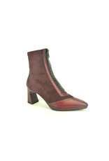 Hispanitas 15263 kleur