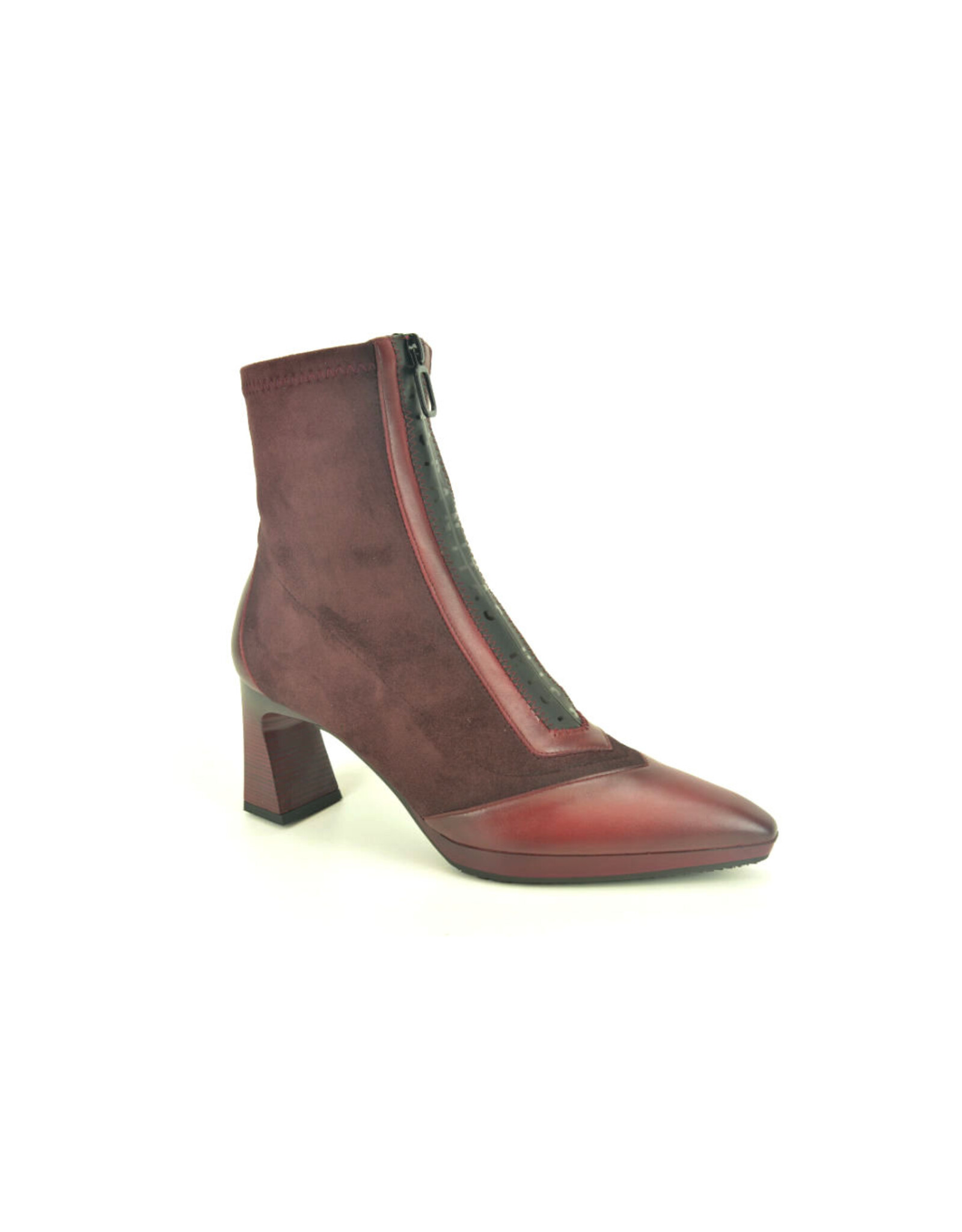 Hispanitas 15263 kleur