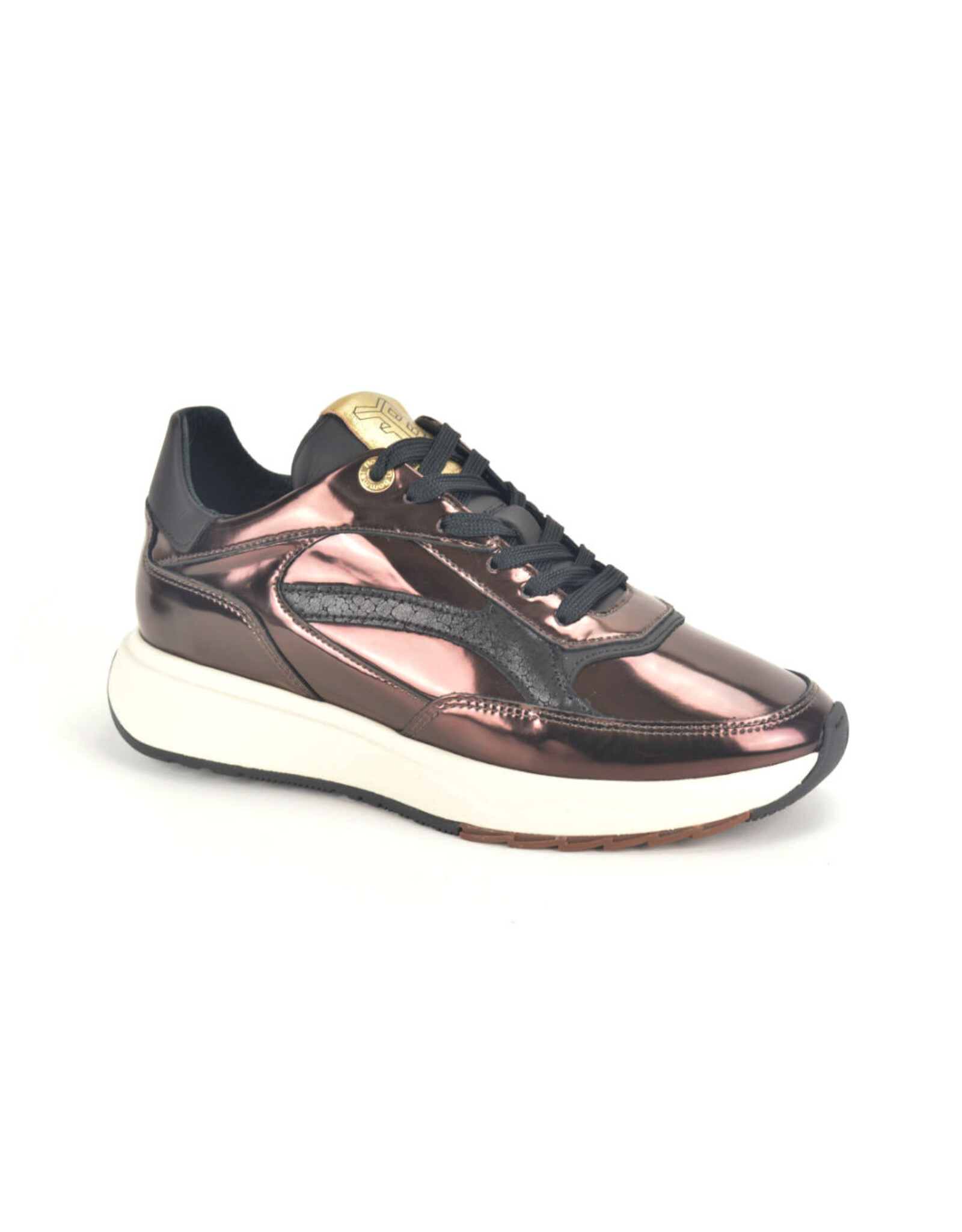 Floris van Bommel 15314 brons