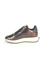 Floris van Bommel 15314 brons