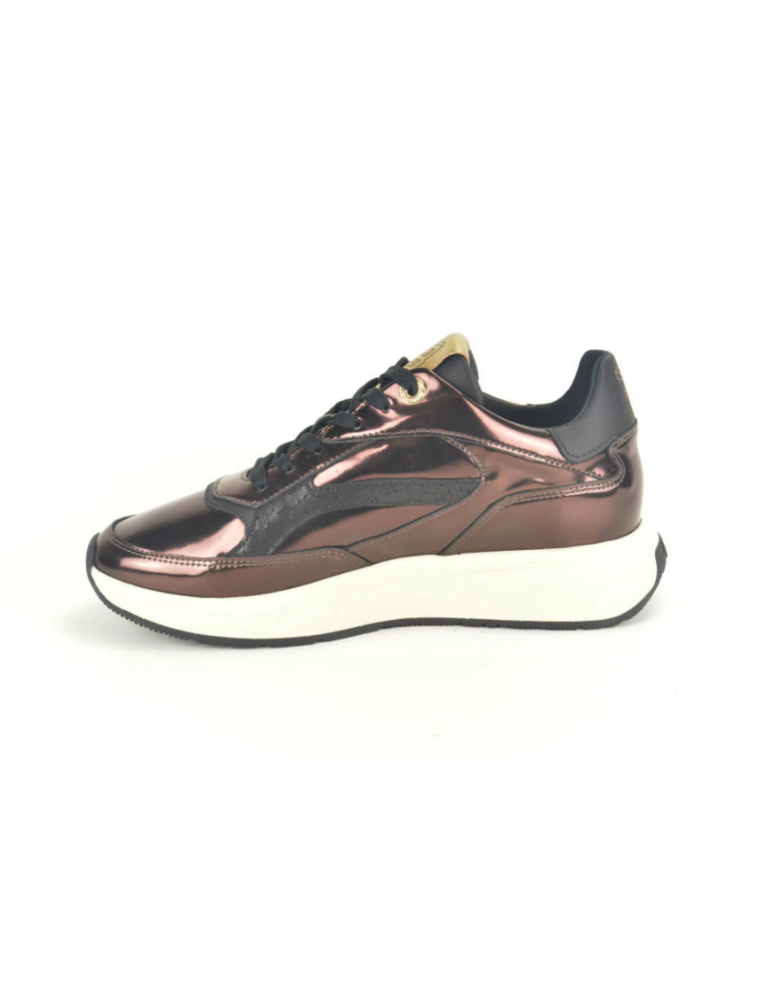 Floris van Bommel 15314 brons