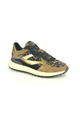 Floris van Bommel 15317 taupe