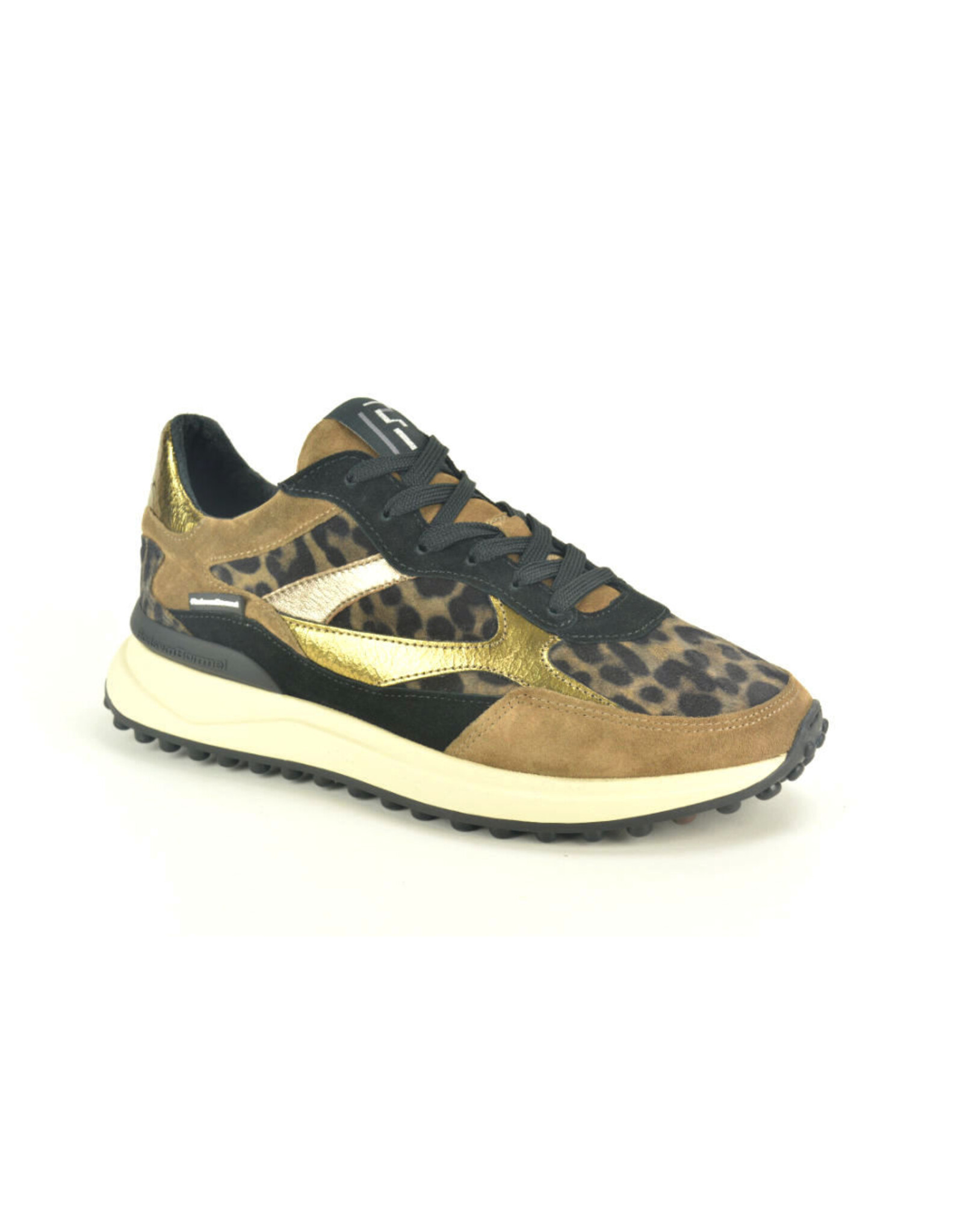Floris van Bommel 15317 taupe