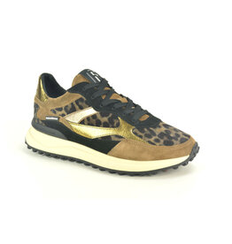 Floris van Bommel Sneaker Floris van Bommel