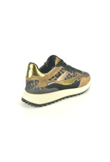 Floris van Bommel 15317 taupe