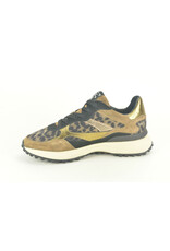 Floris van Bommel 15317 taupe