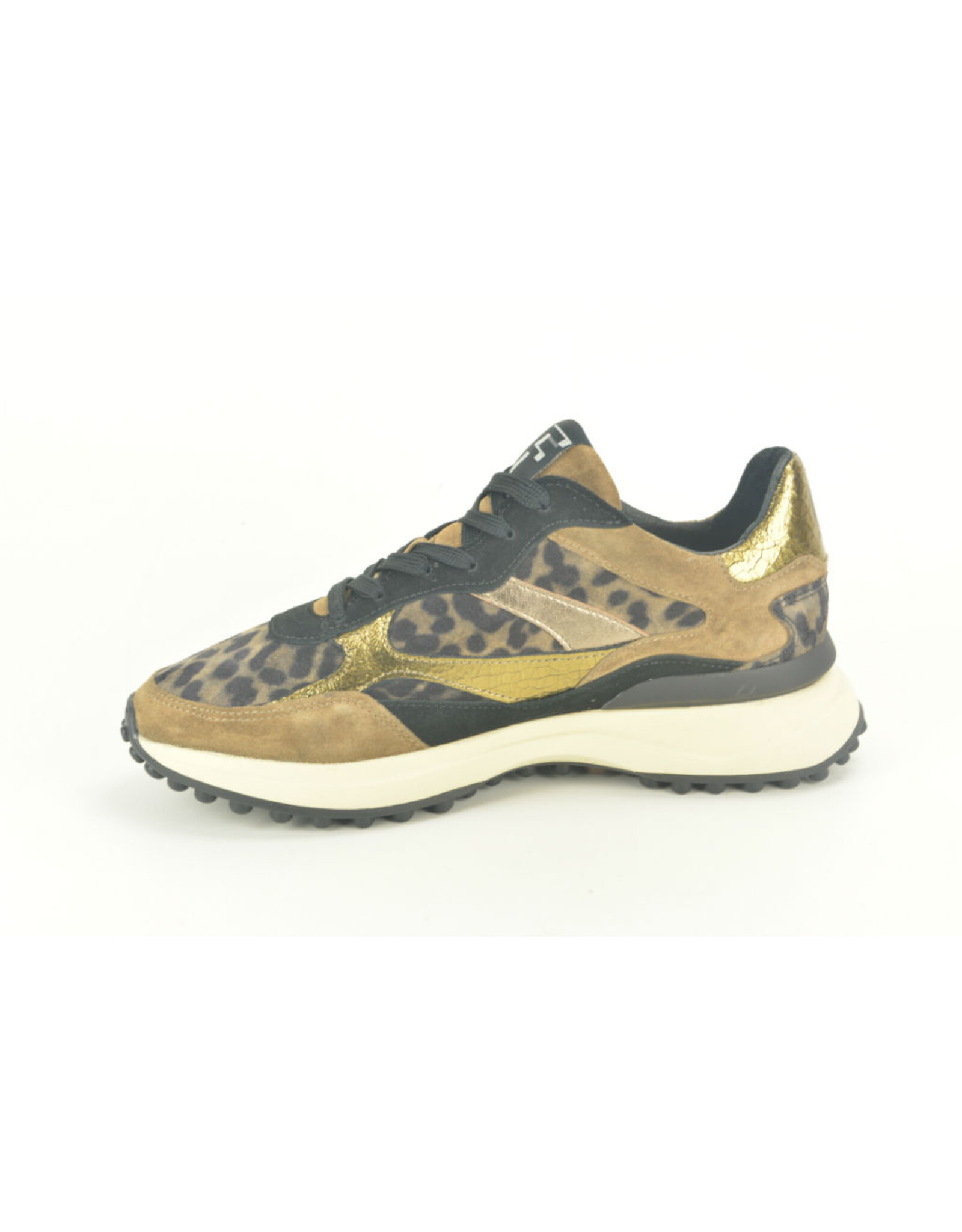 Floris van Bommel 15317 taupe