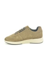 Cycleur De Luxe 16098 taupe