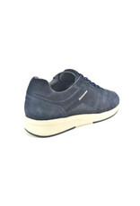 Cycleur De Luxe 16099 blauw