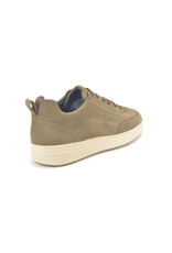 Cycleur De Luxe 16100 taupe