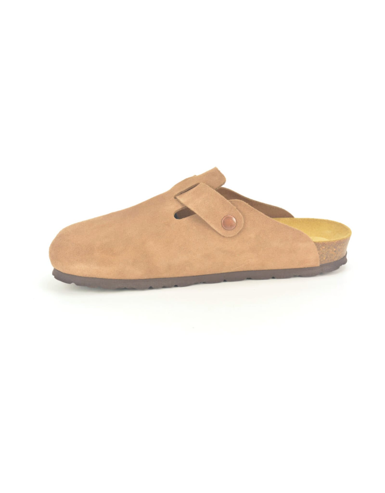 Rohde 16134 camel