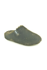 Verbenas 16184 bruin
