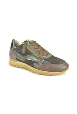 DL-Sport 16299 bruin