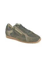 DL-Sport 16301 bruin