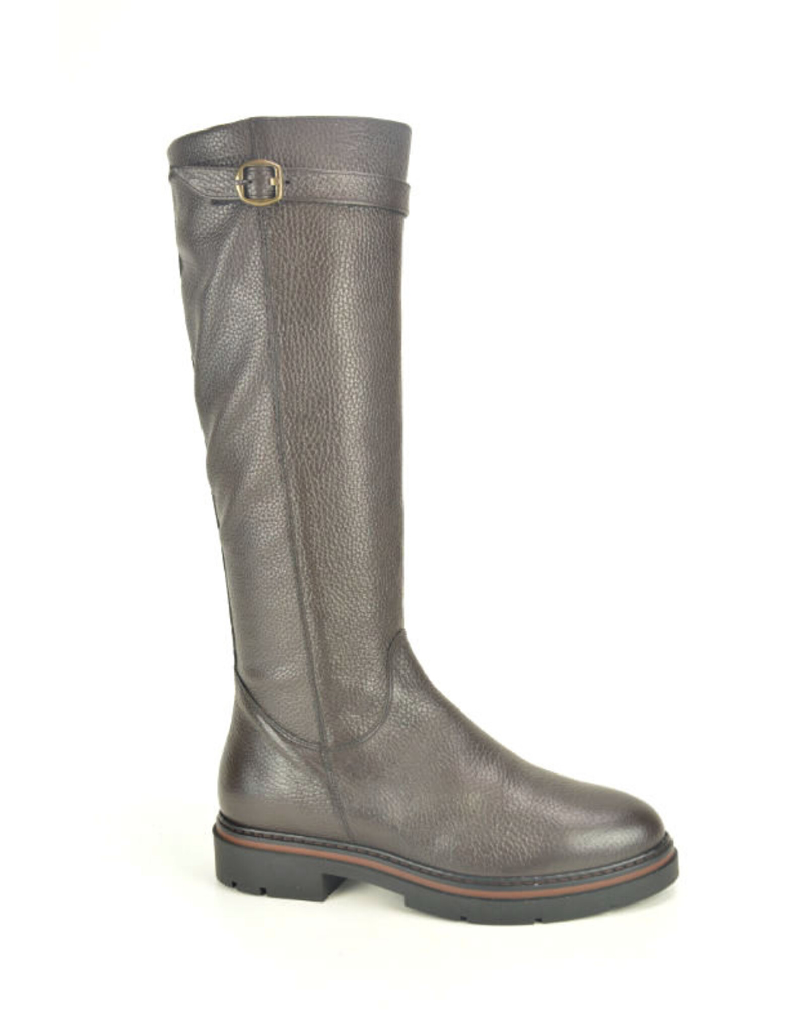 DL-Sport 16304 bruin