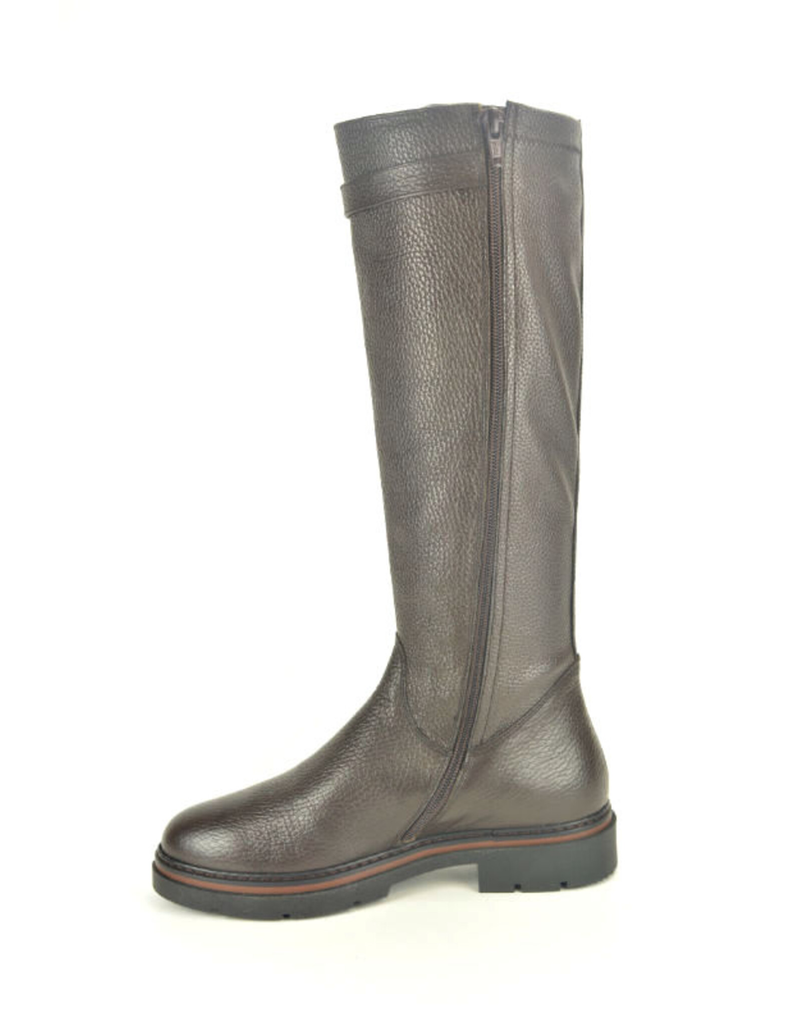 DL-Sport 16304 bruin
