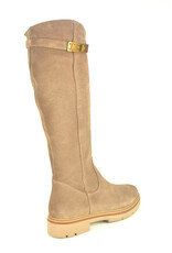DL-Sport 16305 taupe