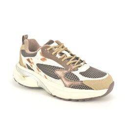 Maruti Sneaker Maruti
