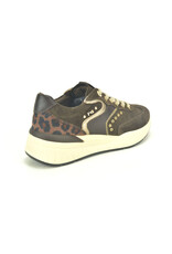 Nero Giardini 16289 bruin