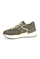 Nero Giardini 16289 bruin