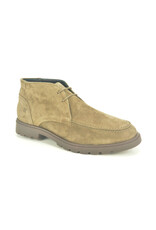 Berkelmans 16264 taupe