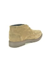 Berkelmans 16264 taupe