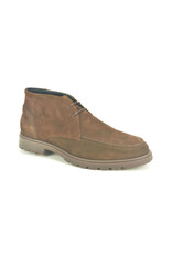 Berkelmans 16265 bruin