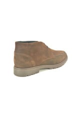 Berkelmans 16265 bruin
