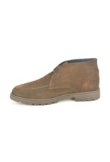 Berkelmans 16265 bruin